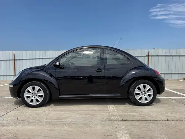 Volkswagen Beetle 2010