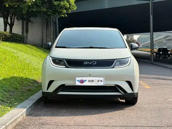 BYD Dolphin 2024