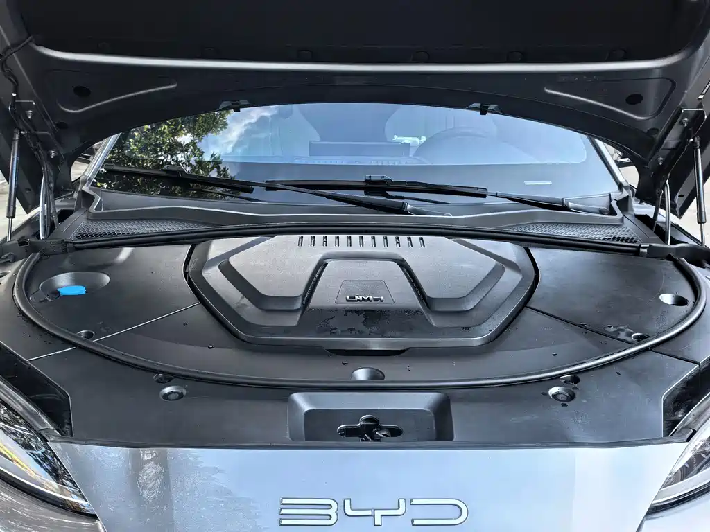 BYD Song PLUS New Energy 2024 — фото 18
