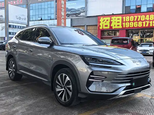 BYD Song PLUS New Energy 2024