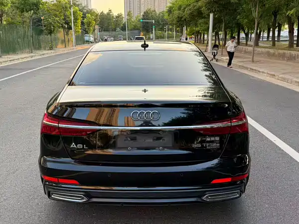 Audi A6L New Energy 2020