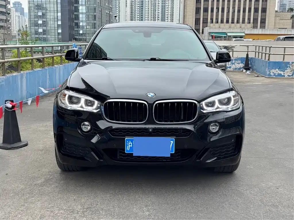 BMW X6 2019 — фото 2