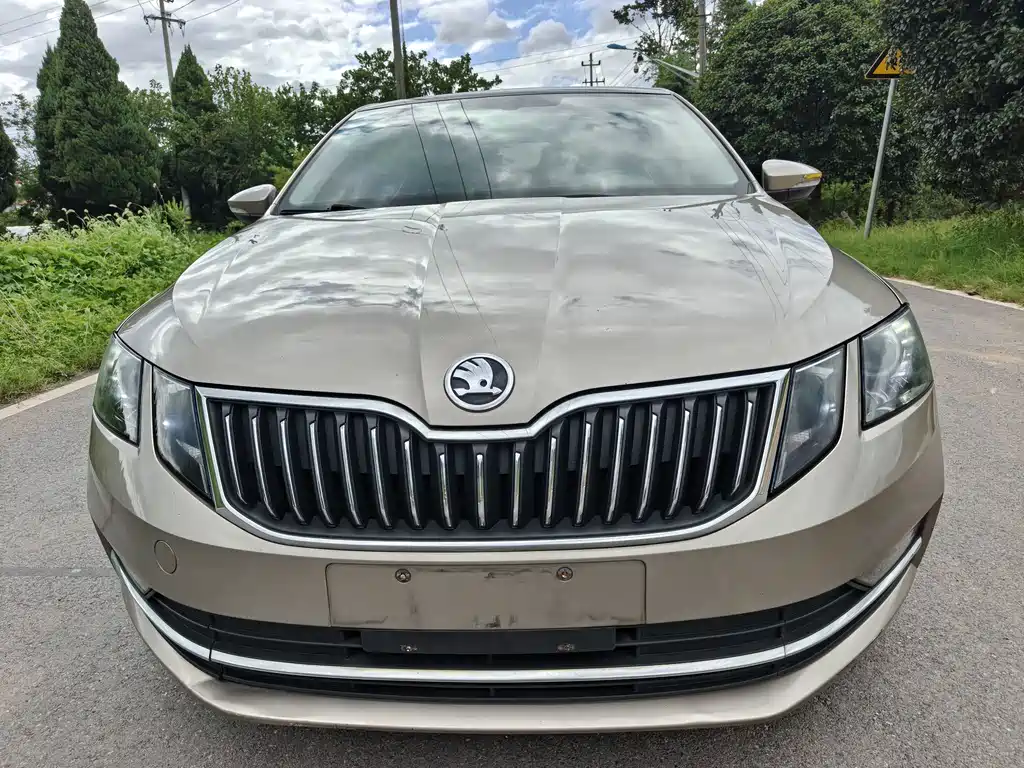 Skoda Octavia 2019 — фото 1