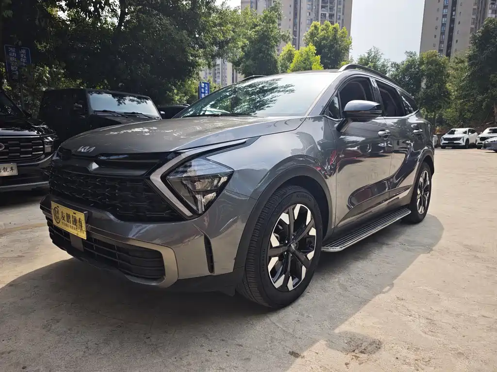 Kia Lion Platinum Expands The Boundary 2024 — фото 1