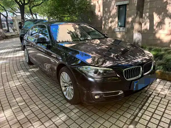 BMW 5 Series 2014