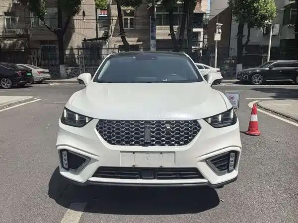 Wey VV5 2020