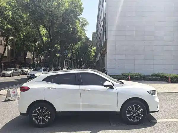 Wey VV5 2020