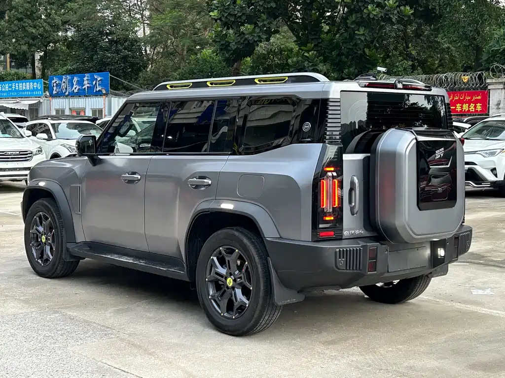 Shanhai Traveller C-DM 2025 — фото 4