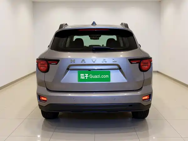 Haval Dog PLUS 2024