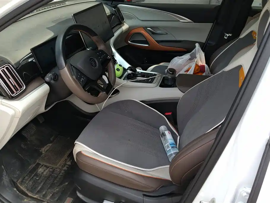 BYD Pro New Energy 2023 — фото 9