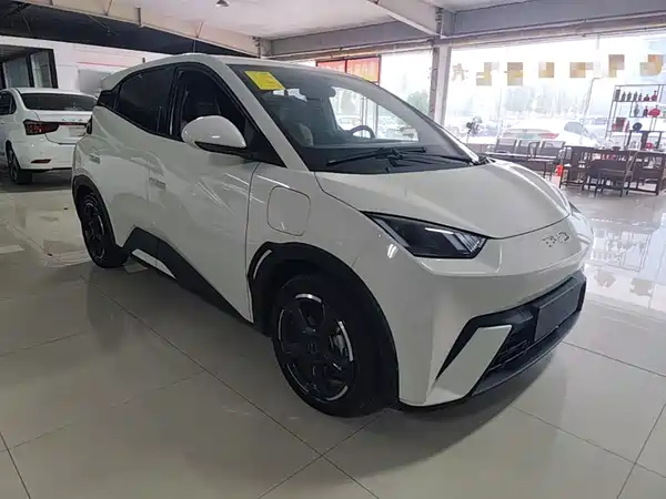 BYD Seagull 2024