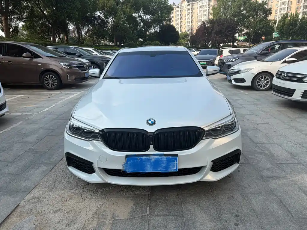 BMW 5 Series 2019