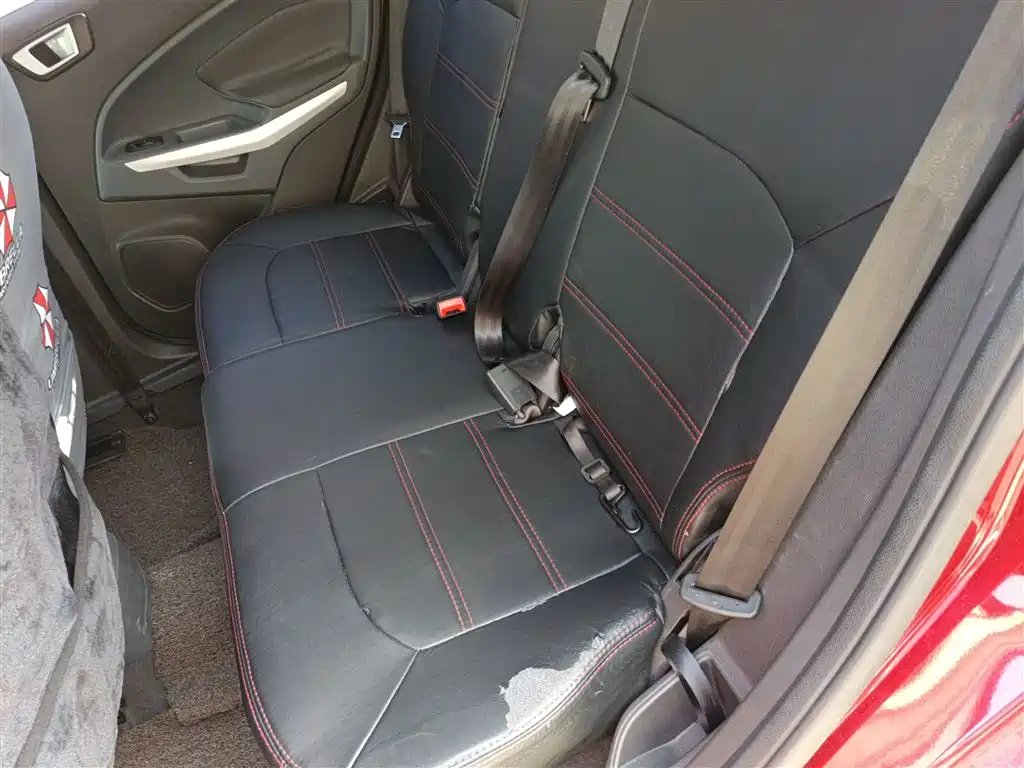 Ford Ecosport 2015 — фото 15