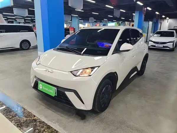 BYD Seagull 2024
