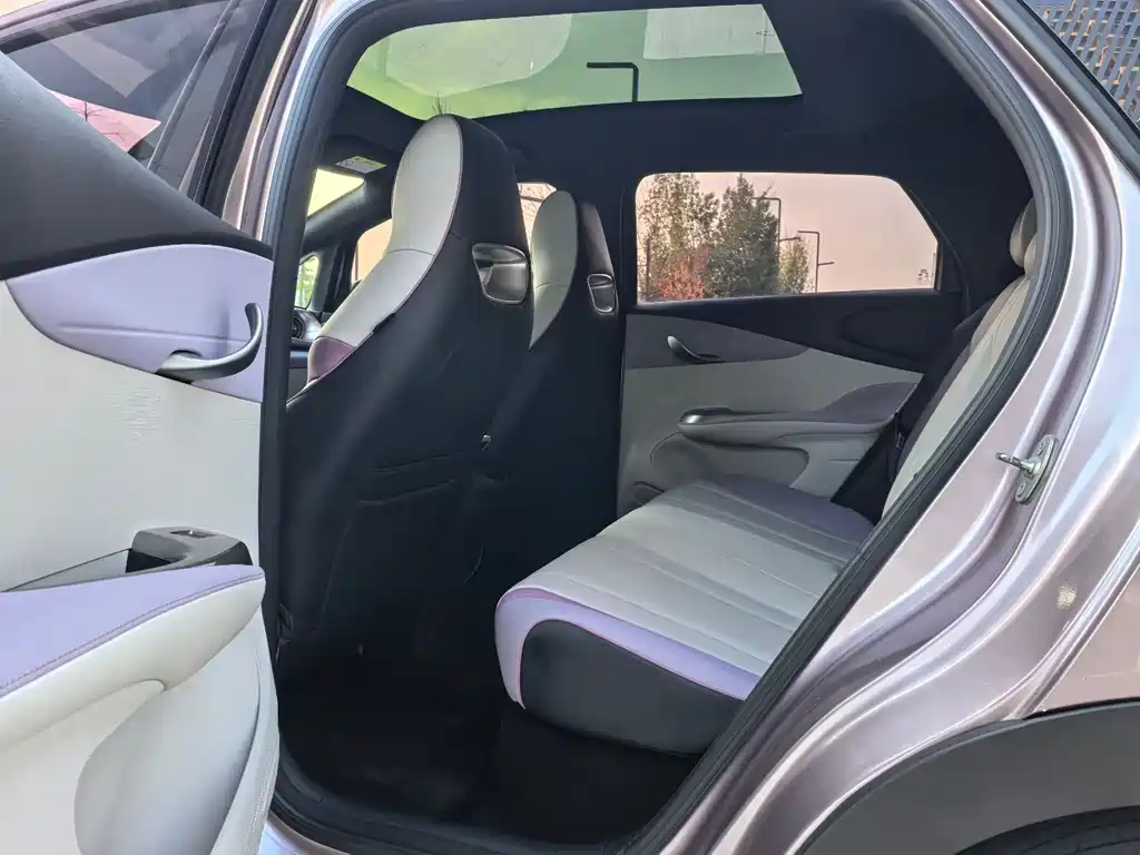 BYD Dolphin 2022
