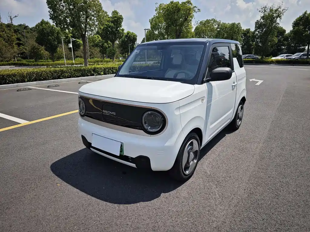 Geely Galaxy Panda 2023 — фото 1