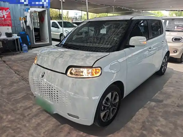 Ora White Cat 2022