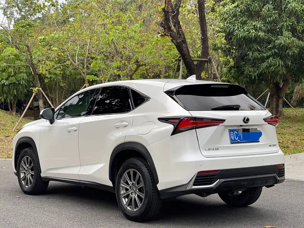 Lexus NX 2019 — фото 7