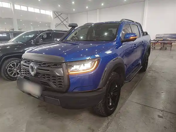 Great Wall Poer 2020