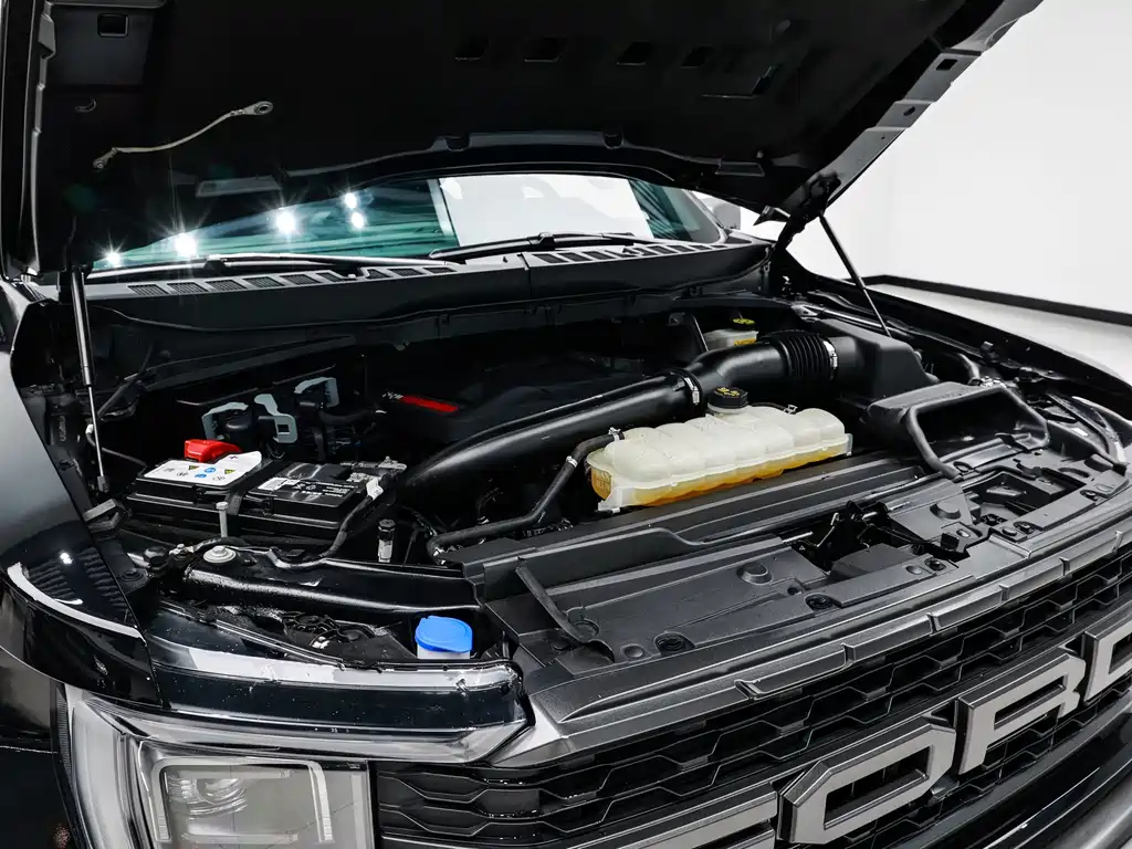 Ford F-150 Raptor 2024 — фото 16