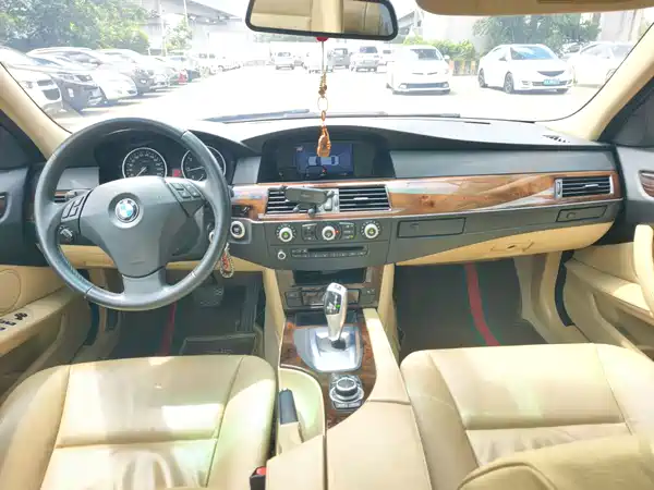 BMW 5 Series 2010