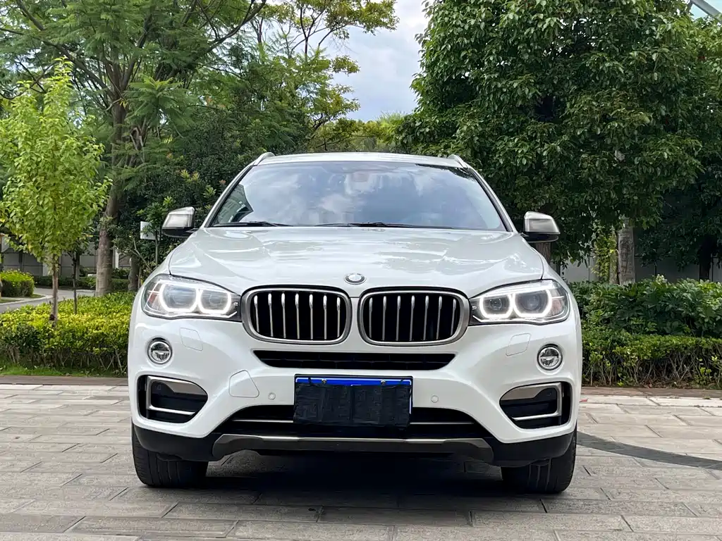 BMW X6 2018 — фото 2