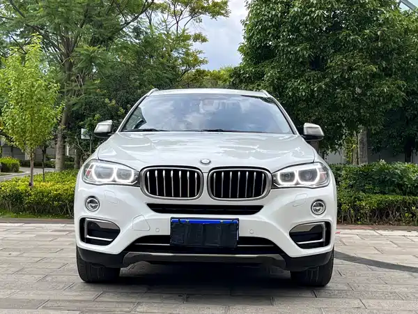 BMW X6 2018