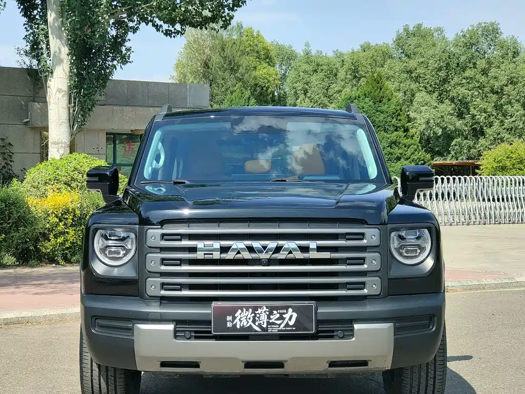 Haval Menglong New Energy 2024