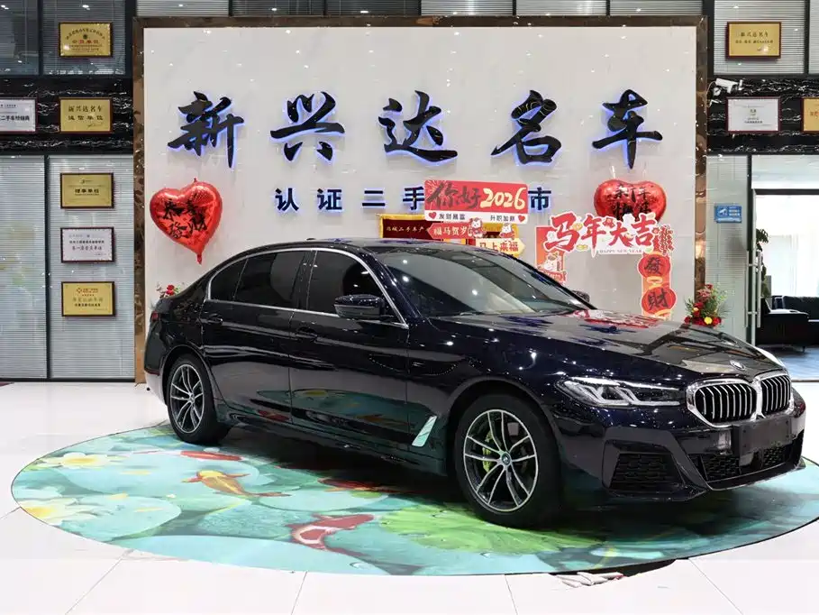 BMW 5 Series New Energy 2023 — фото 3