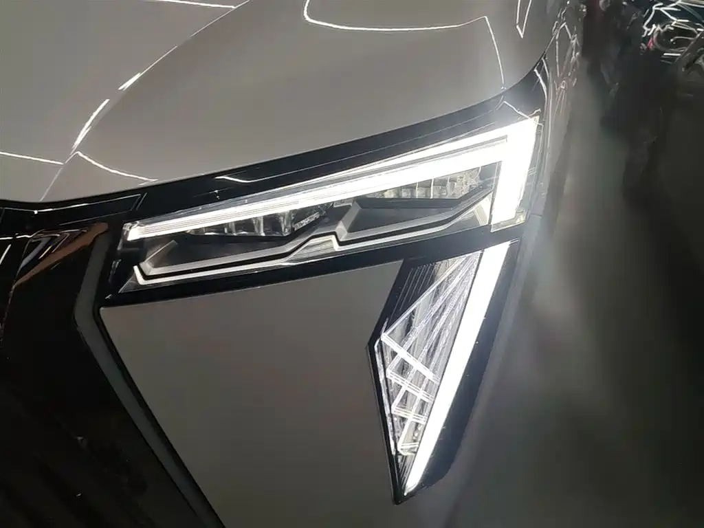 GAC Motor Trumpchi M8 2023 — фото 24
