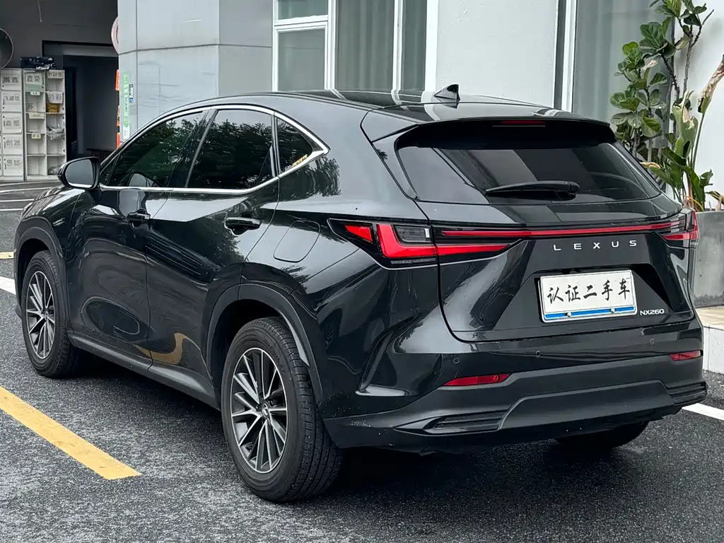 Lexus NX 2024 — фото 18