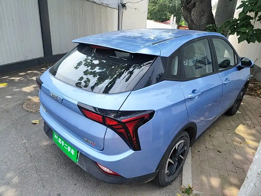 Neta V 2021