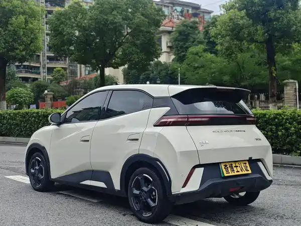 BYD Seagull 2023