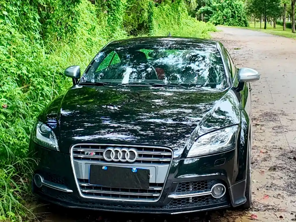 Audi TTS 2013 — фото 19