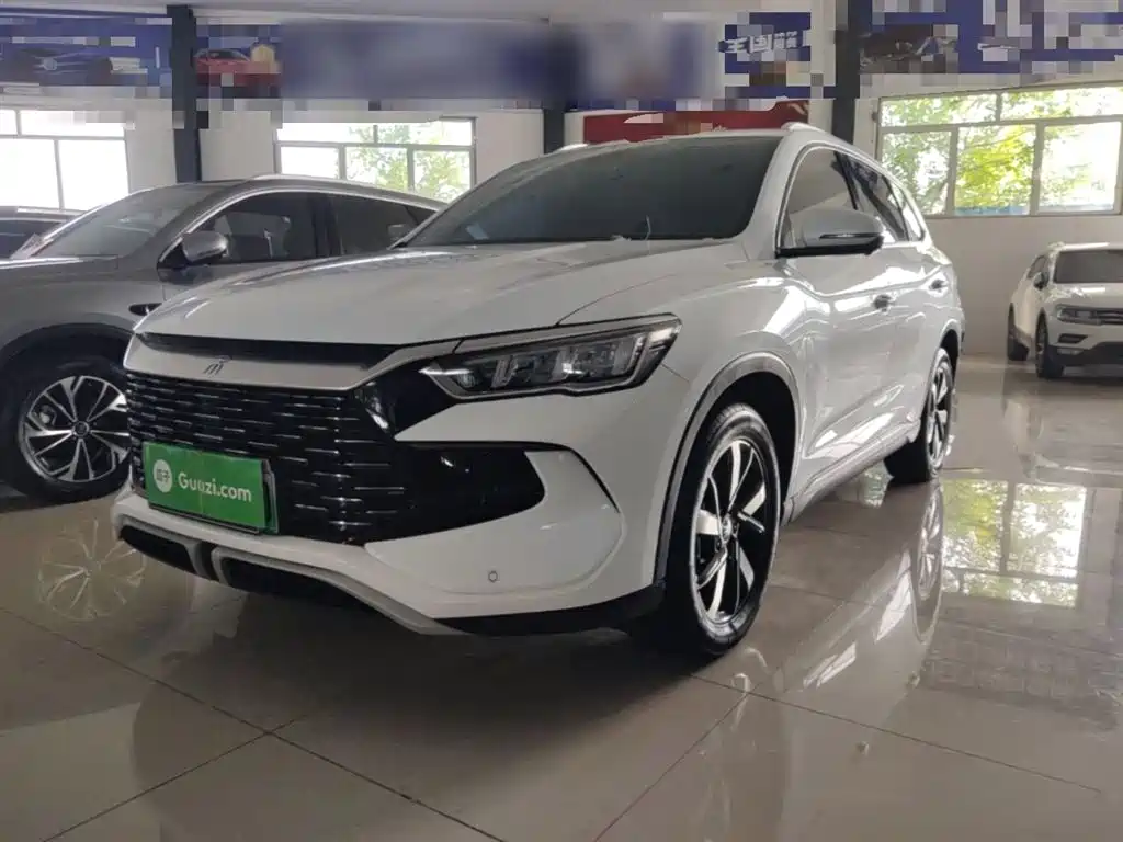BYD Pro New Energy 2024 — фото 2