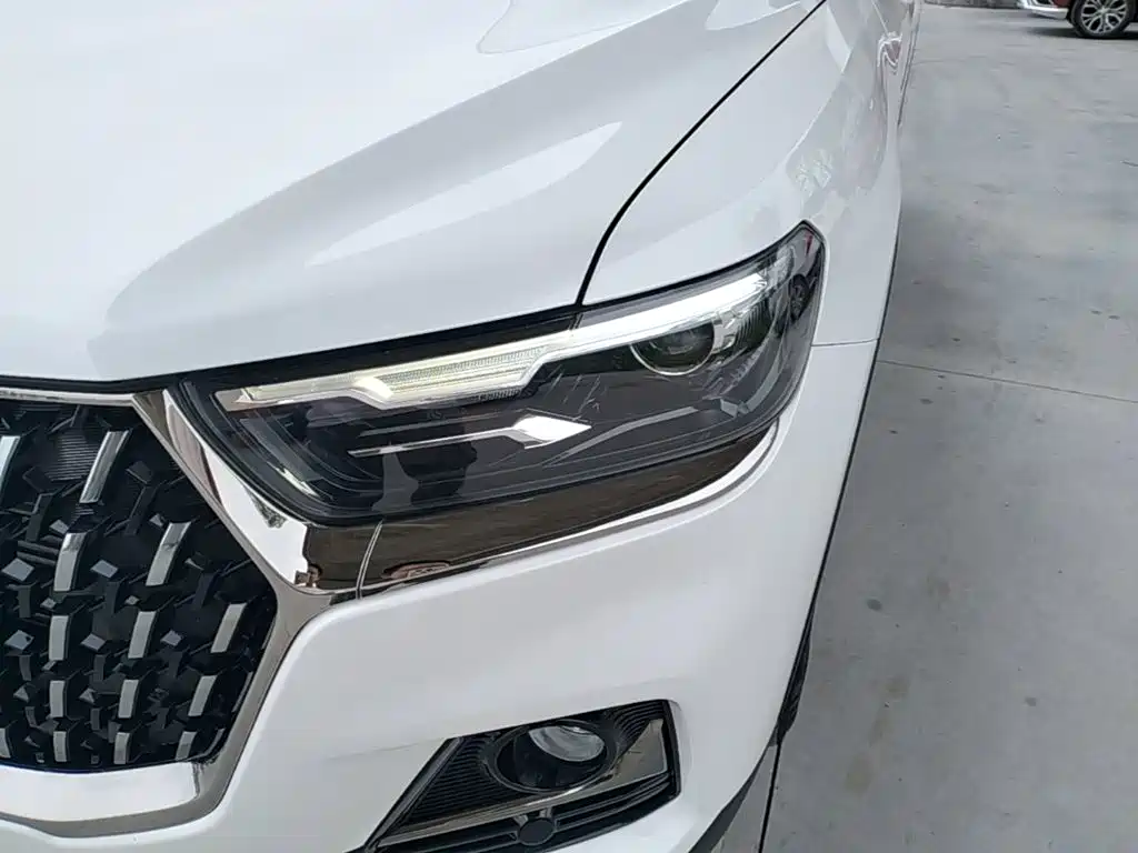 Haval H6 2023 — фото 24