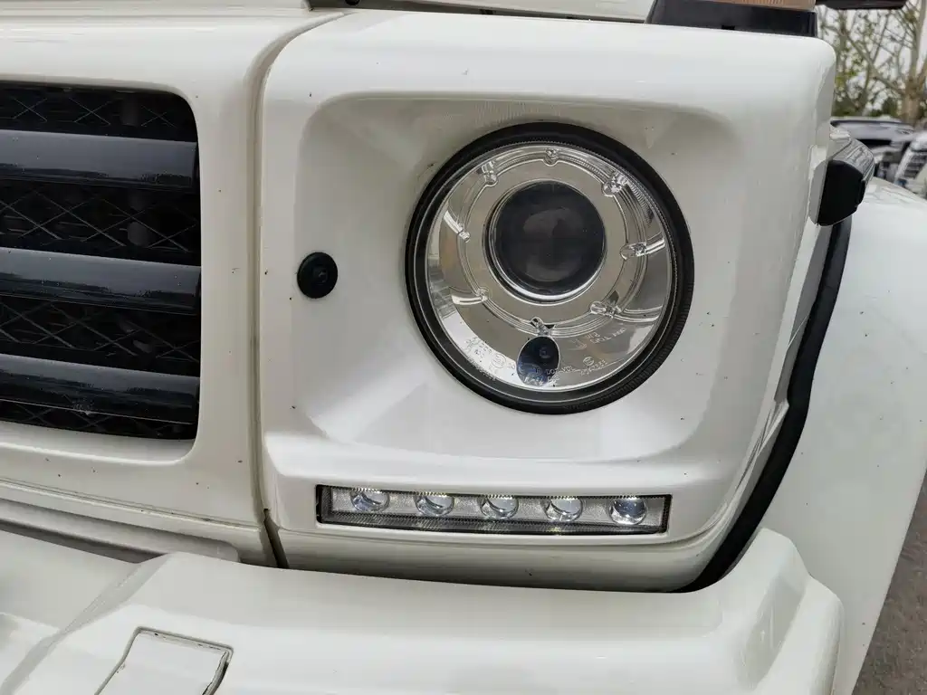 Mercedes-Benz G-Class 2018 — фото 17