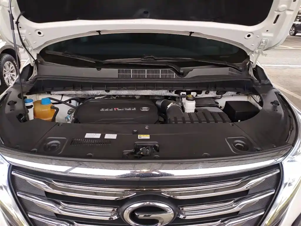 GAC Motor Trumpchi M8 2020 — фото 20