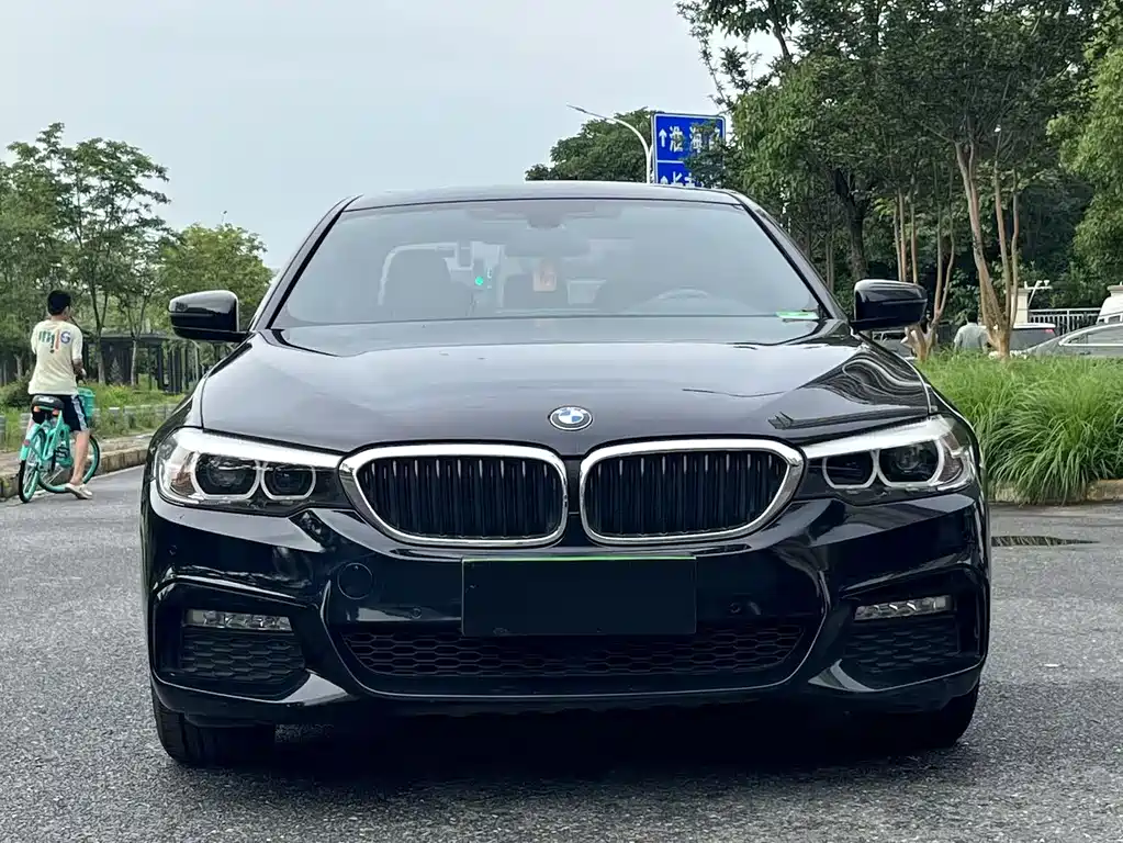 BMW 5 Series 2019 — фото 2