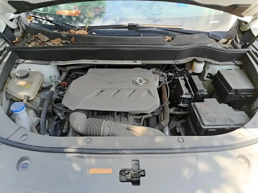 Dongfeng Fengshen AX7 2021 — фото 11