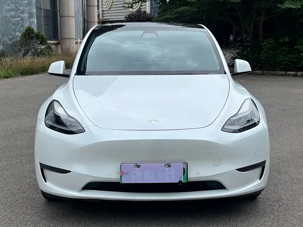 Tesla Model Y 2021 — фото 2