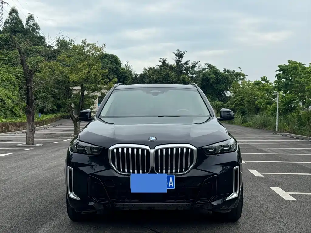 BMW X5 2024
