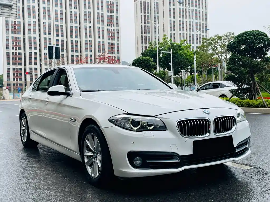 BMW 5 Series 2014
