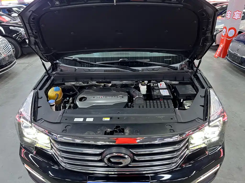 GAC Trumpchi GS8 2018 — фото 19