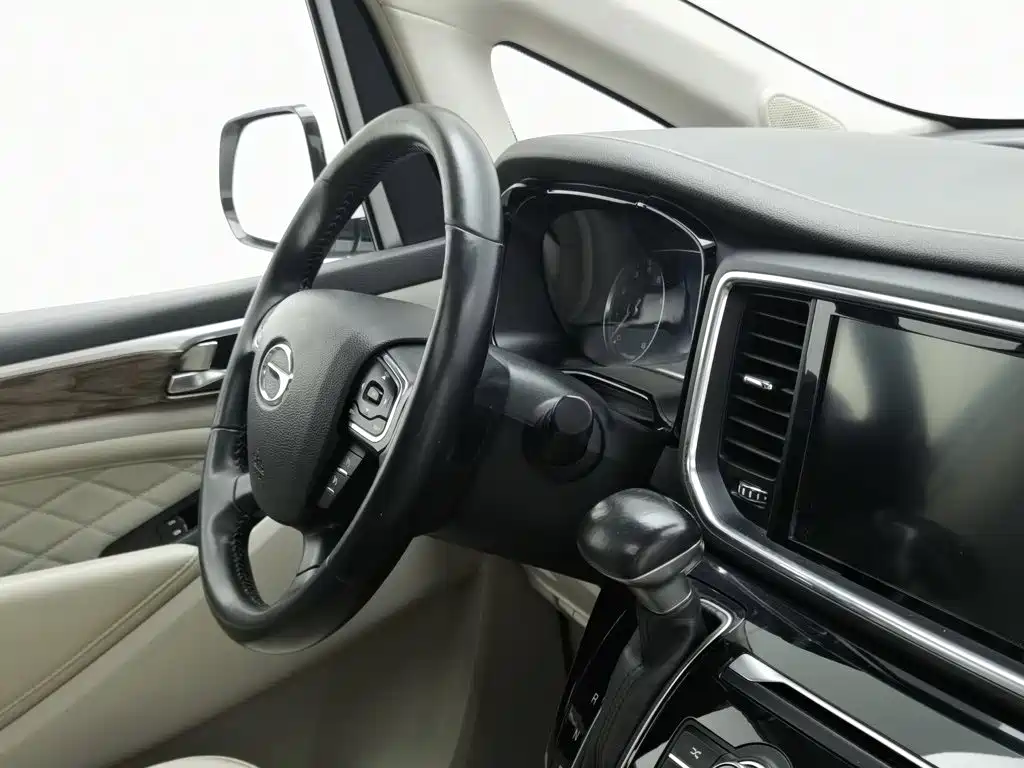 GAC Trumpchi M8 2020 — фото 22
