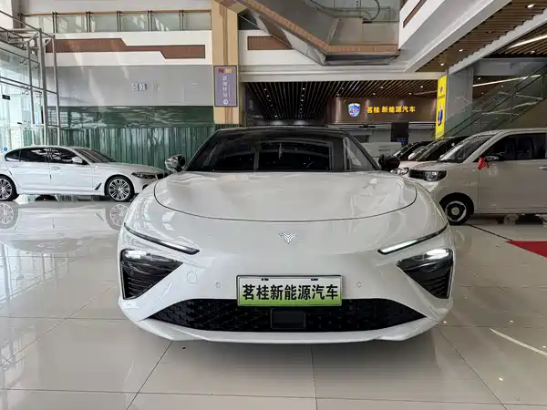 Neta S 2023