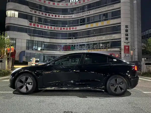 Tesla Model 3 2021