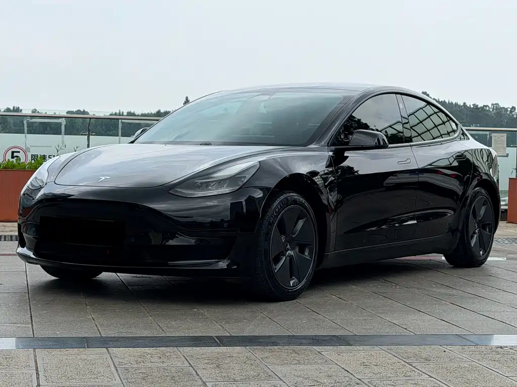 Tesla Model 3 2021 — фото 1