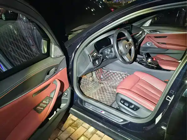 BMW 5 Series 2021