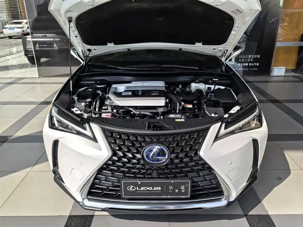 Lexus UX 2023 — фото 8